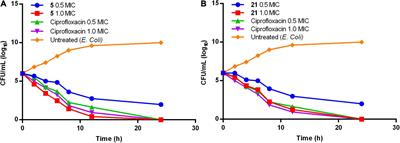 Benzohydrazide and Phenylacetamide Scaffolds: New Putative ParE Inhibitors